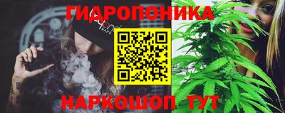 шишки Шахты