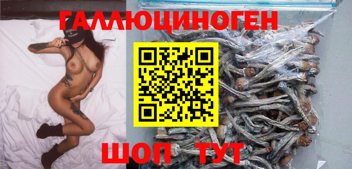 Псилоцибиновые грибы Magic Shrooms  Вход с VPN  что такое   Волжский 